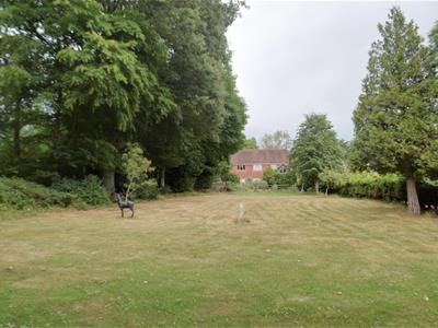 Picture 23